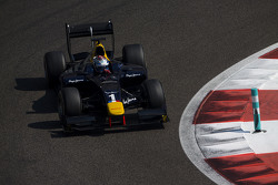 Nicholas Latifi, DAMS