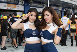 Lovely grid girls