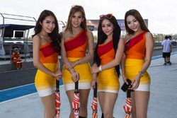 Lovely grid girls