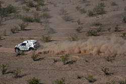 #315 Mini: Mikko Hirvonen, Michel Perin