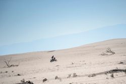 #3 KTM: 托比·普莱斯