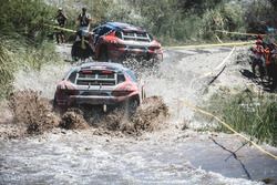 #314 Peugeot: Sébastien Loeb, Daniel Elena