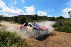 #321 Peugeot: Cyril Despres, David Castera