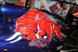 Scuderia Toro Rosso