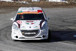 Enrico Brazzoli, Maurizio Barone, Peugeot 208