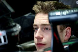 Stoffel Vandoorne, McLaren MP4-30