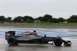 Stoffel Vandoorne, McLaren MP4-30