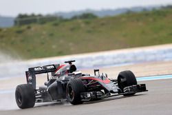 Stoffel Vandoorne, McLaren MP4-30