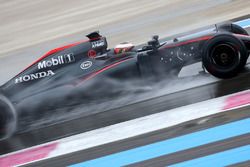 Stoffel Vandoorne, McLaren MP4-31