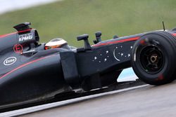 Stoffel Vandoorne, McLaren MP4-30