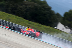 Daniel Ricciardo, Red Bull Racing RB11
