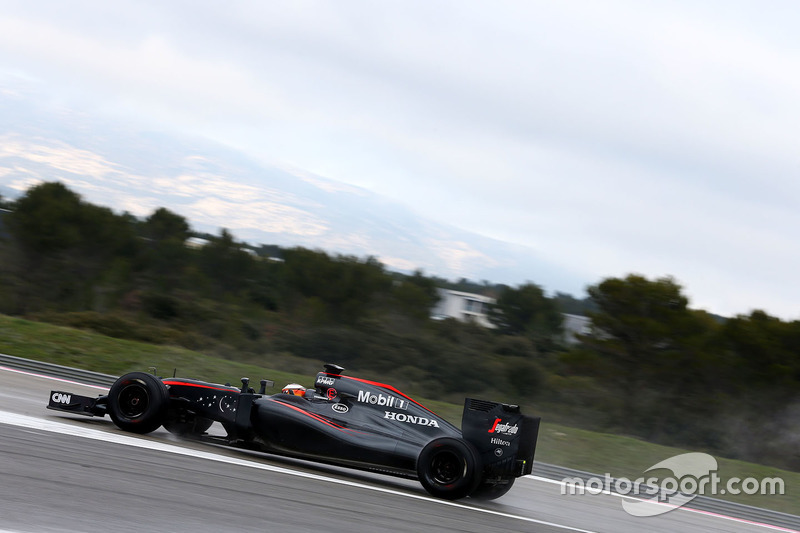 Stoffel Vandoorne, McLaren MP4-30