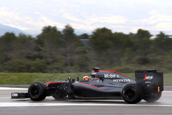Стоффель Вандорн, McLaren MP4-30