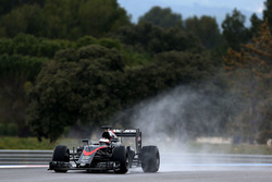 Stoffel Vandoorne, McLaren MP4-30