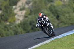 Jonathan Rea, Kawasaki Ninja ZX-10R