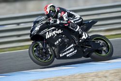 Jonathan Rea, Kawasaki Ninja ZX-10R