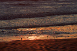 Sunrise over New Smyrna Beach