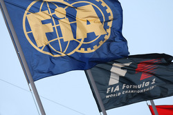 FIA and F1 Flags