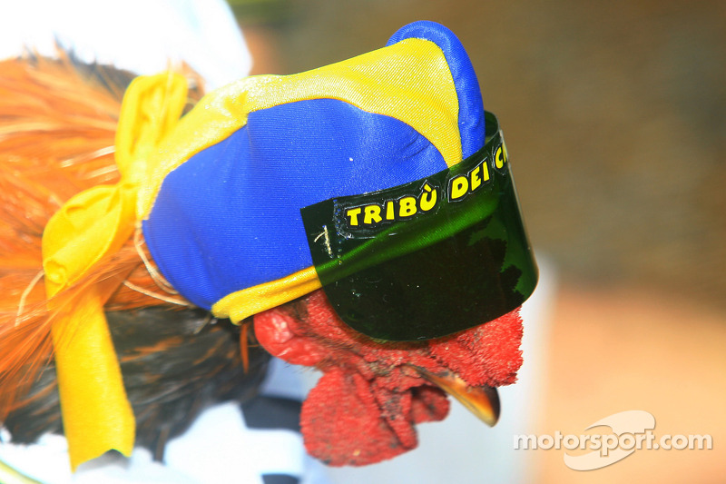 Rossi's "Gallina Vecchia'' celebración