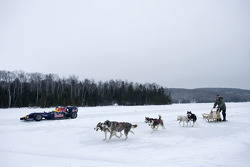 Sebastien Buemi in de Red Bull Racing F1 wagen in de sneeuw, Circuit Gilles-Villeneuve in Lac-à-l'Ea