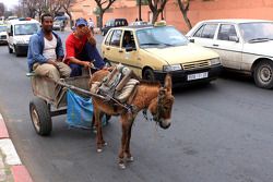 Marocco