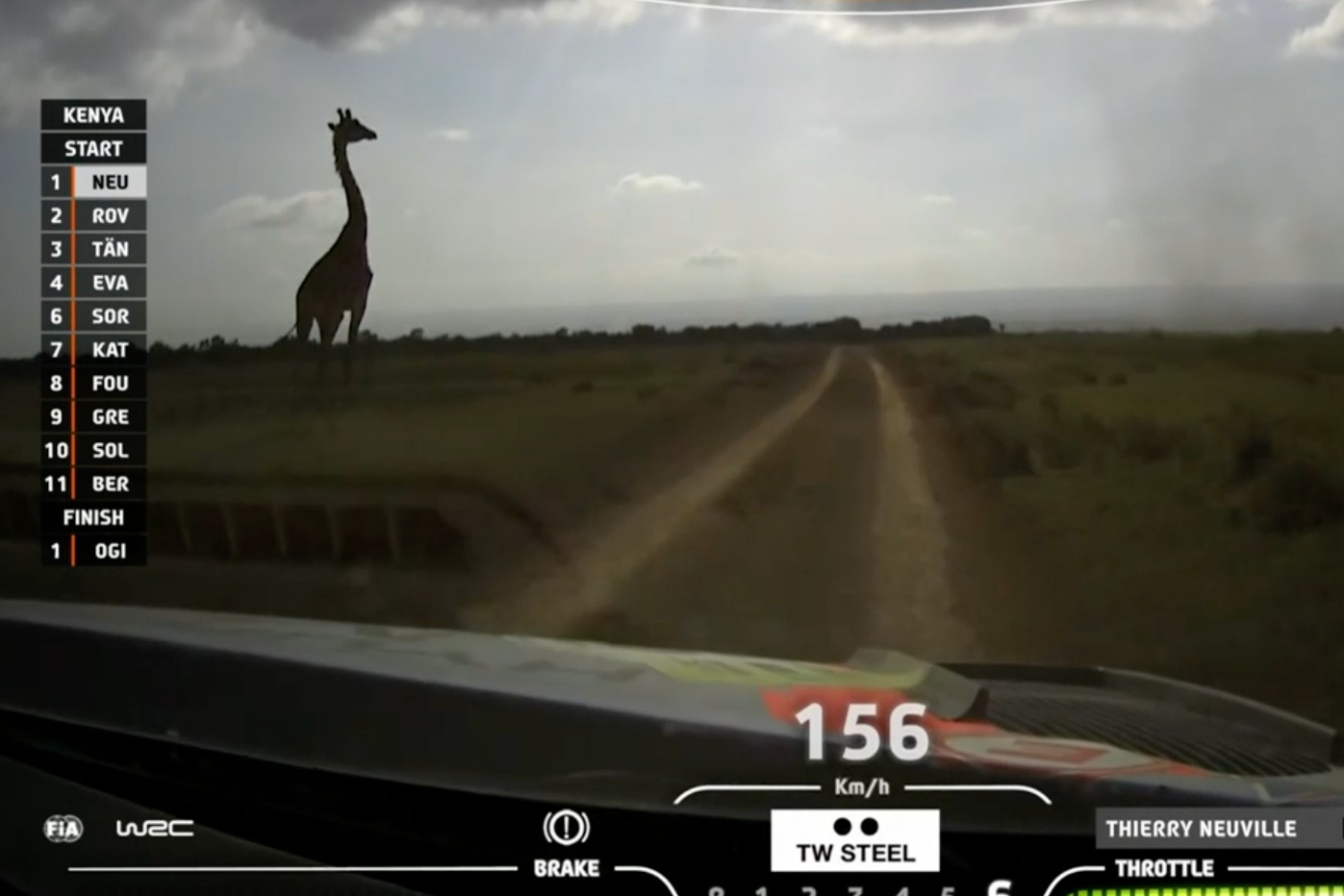 Giraffe seen close to a Safari Rally stage from Thierry Neuville's car