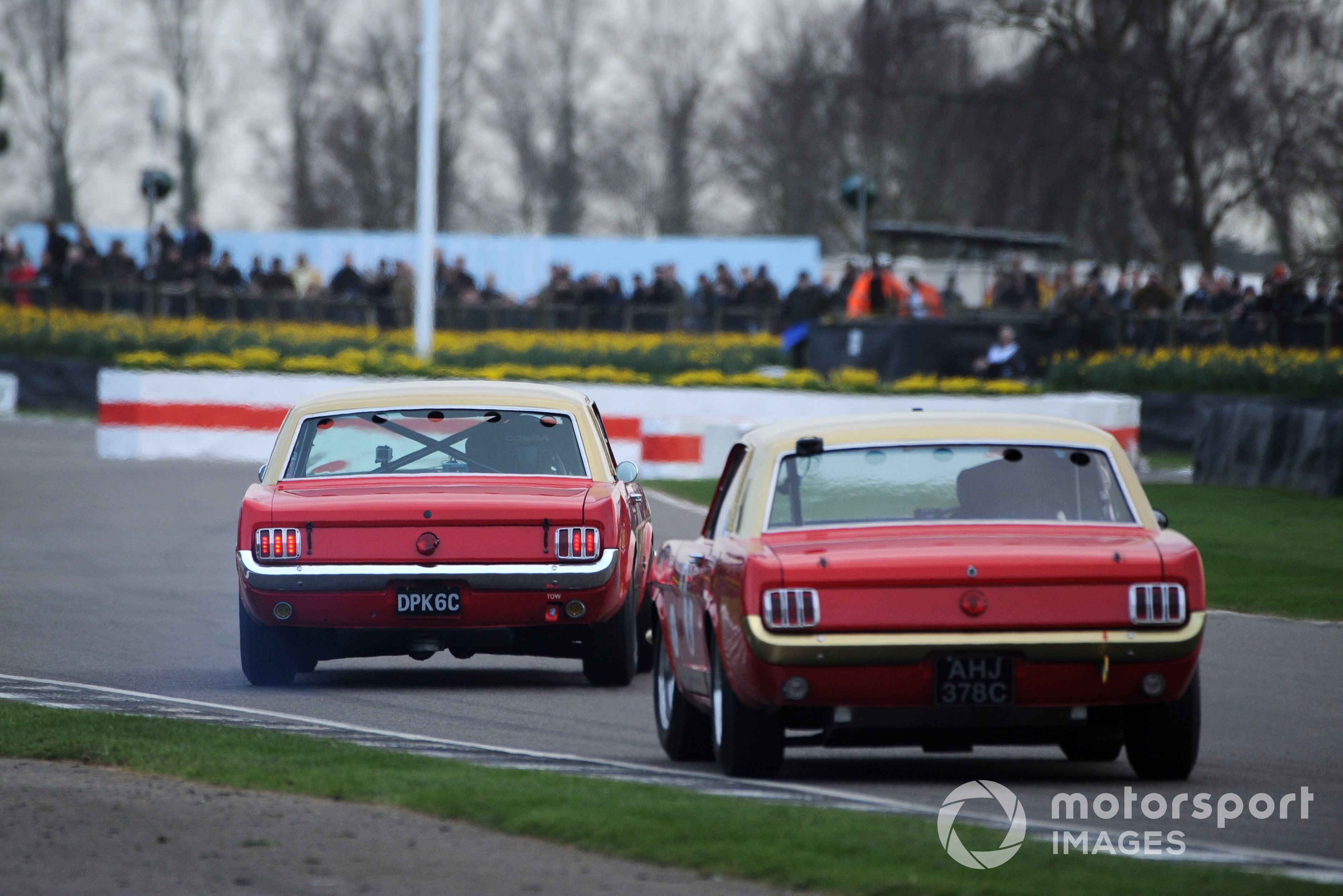 Pierpoint Cup, Goodwood