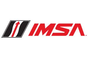 BUSCH: IRL: CHAMPCAR/CART: Race series attendance