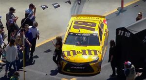 Kyle Busch hits fan